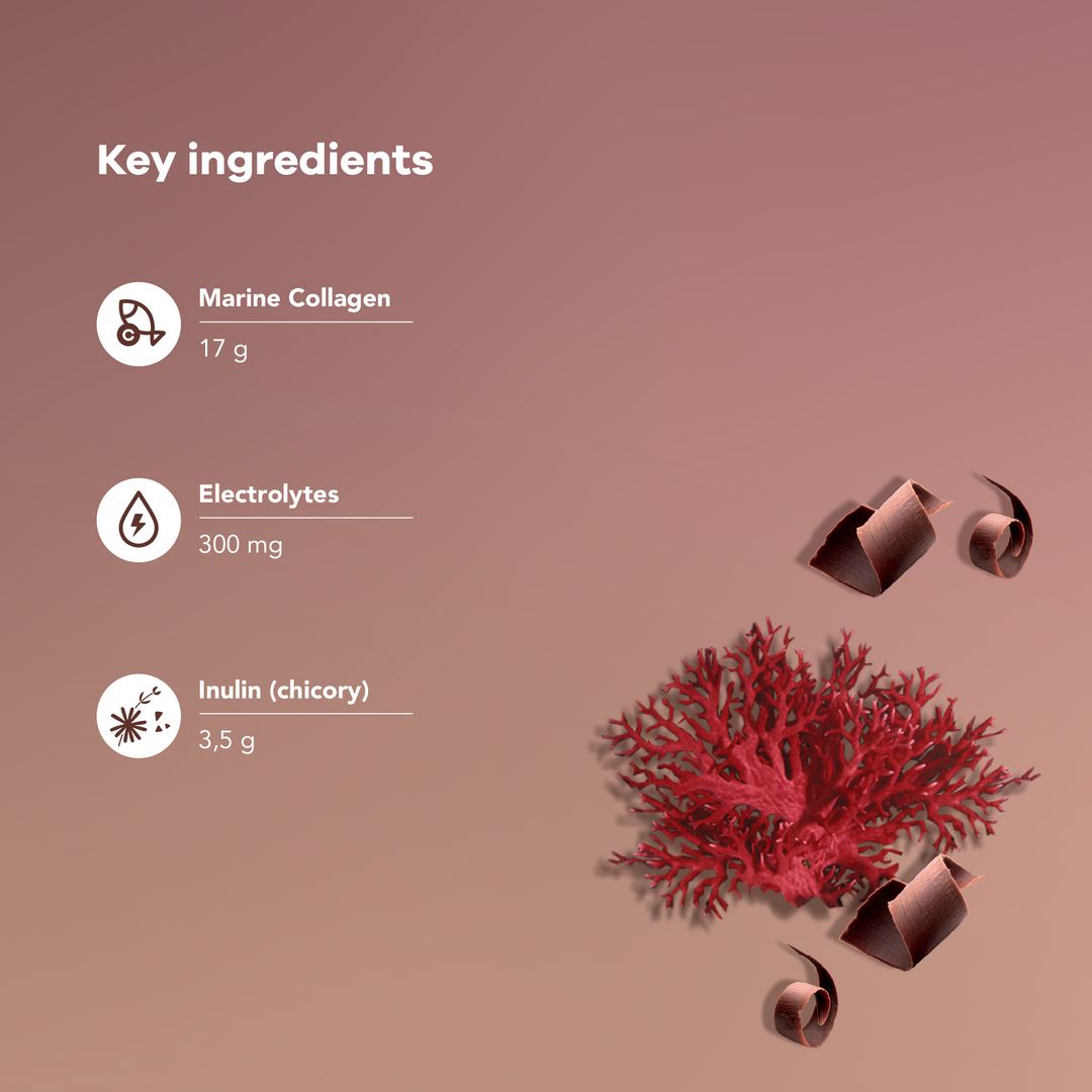 Chocolate Collagen Peptides (17g)
