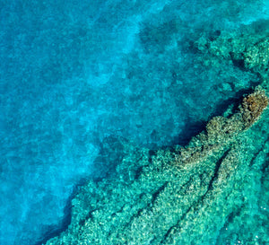 pristine oceans as a result of using sustainable ocean-diverted plastic
